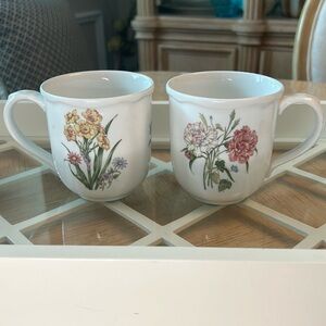 Noritake Gourmet Garden Cups (2)